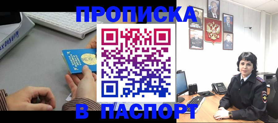 прописка в Пестово